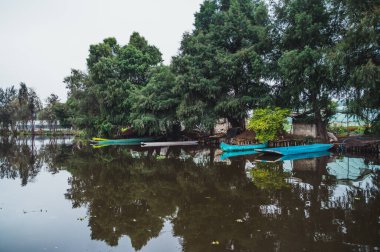 Mexico City 'deki Xochimilco kanallarında tekneler ve trajineralar.