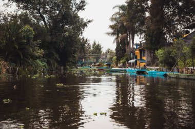 Mexico City 'deki Xochimilco kanallarında tekneler ve trajineralar.
