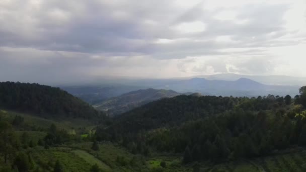 Vídeo Aéreo Uma Floresta Meio Das Montanhas Com Céu Nublado — Vídeo de Stock