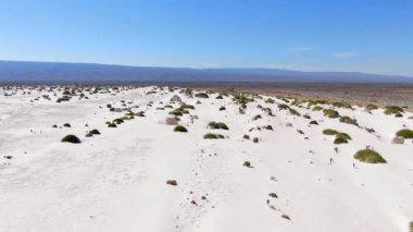 Çölün beyaz alçıtaşı kumulları, arka planda dağlar, Cuatrocienegas, Coahuila, Meksika 'da çekilen bir dolly içinde bitki örtüsü olan havadan çekilmiş videosu..