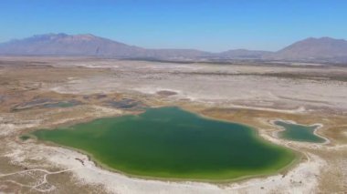 Çölün ortasında turkuaz yeşil su, arka planda dağlar ve Cuatrocienegas 'taki devasa su kütlesine odaklanan Dolly' nin bir sahnesinde kum olan dev bir vaha görüntüsü.