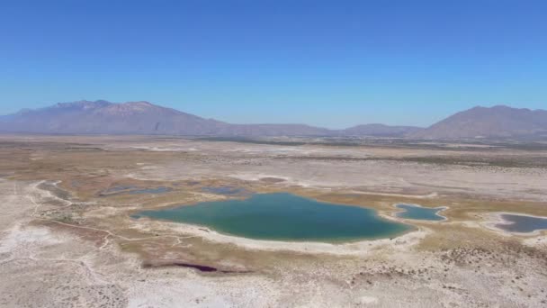 Vídeo Aéreo Del Desierto Con Oasis Gigante Medio Con Agua — Vídeos de Stock