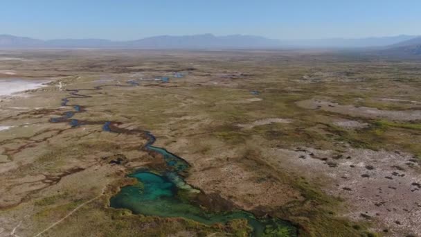 Légi Felvétel Egy Folyóról Mocsarakról Sivatag Közepén Türkiz Zöld Vízzel — Stock videók