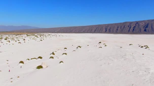 Vídeo Aéreo Deserto Com Dunas Gesso Branco Montanhas Fundo Vegetação — Vídeo de Stock