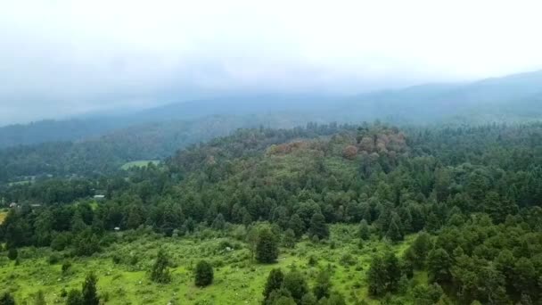 Dağlarda Sis Fırtına Bulutları Yaklaşan Bir Ormanın Klibi — Stok video