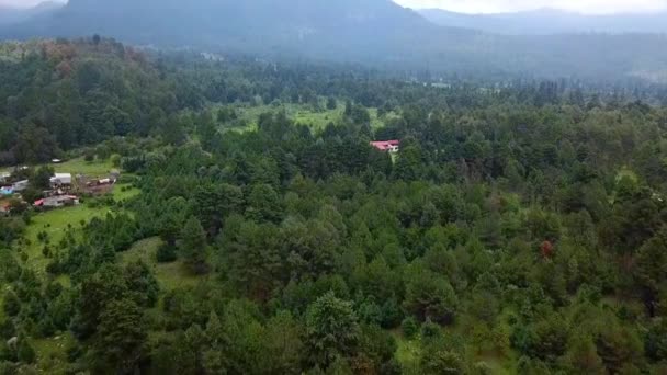 Vídeo Aéreo Bosque Las Montañas Con Niebla Nubes Tormenta Acercándose — Vídeo de stock