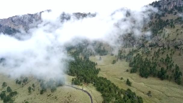 伊兹塔克肖火山中的娃娃的空中录像 在多云的一天里 可以分辨出峡谷 森林和雾 — 图库视频影像