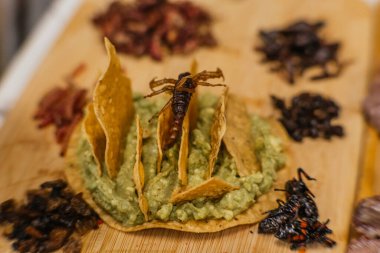 Guacamole ve tost ile lezzetli böcek panosu, çekirgeler, çiniler, escamoleler, acosiles, akrepler, akrepler. Geleneksel İspanyol öncesi Meksika yemekleri..