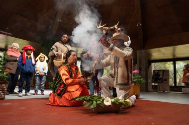 Meksika 'da San Felipe del Progreso' daki Mazahua etnik grubunun töreninde kopal, çiçek, müzik aletleri ve geleneksel Mazahua kıyafetleri kullanılıyor..