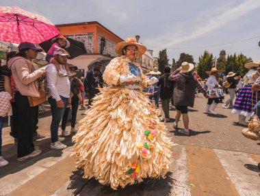 Geleneksel San Isidro Festivali 'nde mısır yaprağından elbisesi giyen insanlar Meksika' nın Metepec şehrinde yürüyorlar..