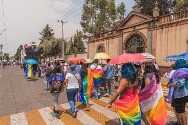 Meksika 'nın Metepec şehrindeki Onur Yürüyüşü' nde LGBT cemaatinden insanlar çok renkli bayraklar taşıyorlar..