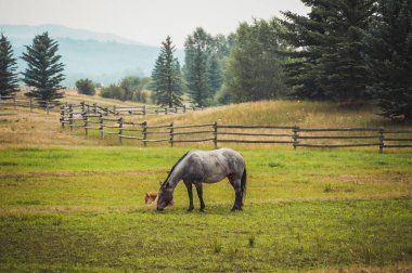 Eski batı Wyoming 'in kırsalında güzel bir günbatımı var. Bazılarında taylar, kulübeler, orman, dağlar ve devasa ağıllar var..