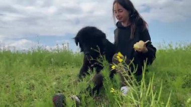 Güzel bir kızın, yeşil tarlada köpeğiyle geçirdiği öğleden sonranın keyfini çıkarıyor. Oynuyor, gülümsüyor ve eğleniyor. Uzun otlar ve çiçekler, her ikisinin de vücudunun bir kısmını kaplıyor..