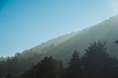 Dağ çıkıntısından içeri giren güneş ışınlarının görüntüsü ağaçlar ve sis arasında ışık ışınları görülebilir..