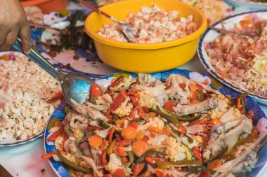 Geleneksel Taco de Plaza için gerekenler, Meksika 'nın Metepec şehrinden tipik yiyecekler, nopales, fasulye, sığır ayağı, domuz ayağı, kan sosisi, turşu sebze turşusu. Bir market tezgahına yerleştirilmiş..