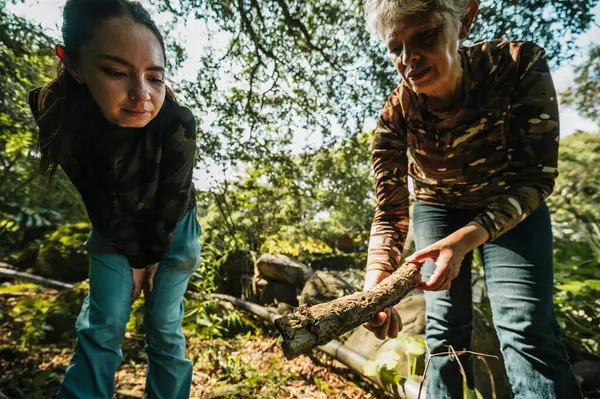 Anne ve kızı yürüyüş kıyafetleri içinde yağmur ormanlarının ortasındaki dev bir kayanın üzerinde duran dev bir ağacın yanında yürüyorlardı..