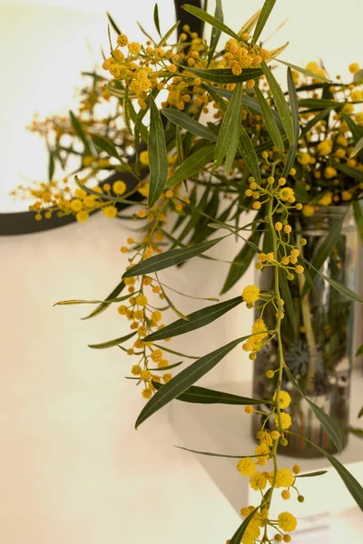 Bouquet of wild yellow flowers, acacia branches in a vase, reflected in the mirror. Stylish cozy home concept. Nobody. Daylight. Selective focus.
