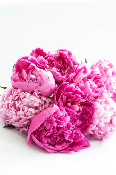 Beautiful bouquet of blooming pink peonies, many buds frontally on a white background. Concept of flowers, softness, love, gift, floristry, floral background. Postcard, mock up. Copy space.