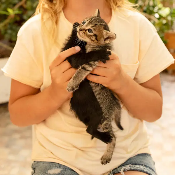 Little girl plays, hugs two outbred kittens. Child 7 years old. Cats in the kid\'s hands. Concept of friendship, love, animal protection, kitten care, sanitation, worms. Outside. Day light.