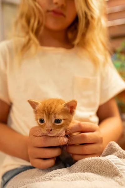 Kırmızı Kediciği Olan Tatlı Bir Kız Kafkas Çocuğu Yaşında Sarışın — Stok fotoğraf