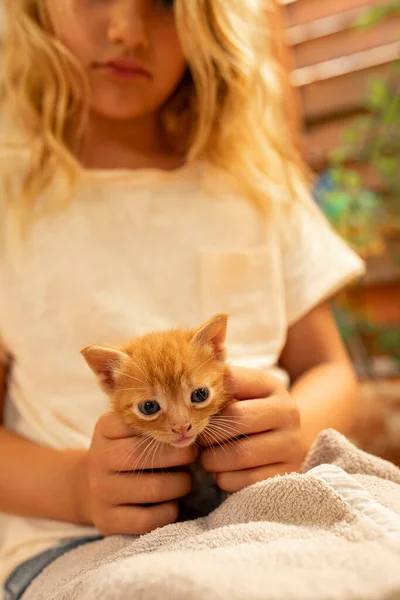 可爱的女孩与红猫 白人小孩7岁金发长发金吉猫在孩子的怀里 动物保护 照顾小猫的概念 — 图库照片