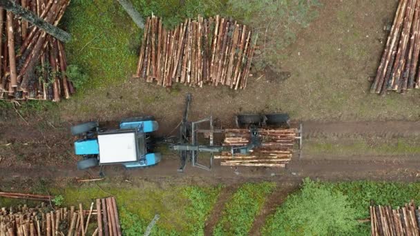 Ovanifrån Timmerutrustning Aktion Skogen Bearbetning Granskog Mekaniskt Verktyg För Att Royaltyfri Stockfilm