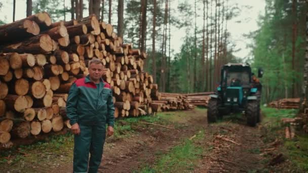 Portretul Bărbatului Matur Lângă Trunchiurile Copaci Locul Muncă Îmbrăcăminte Fundalul — Videoclip de stoc