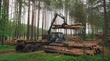 Orman endüstrisi. Ağaç kesme ve günlük tutma alanında yükleme kamyonu için işlemler.