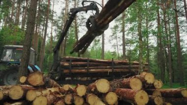 Traktör Ahşap Malzemeleri Toplamak İçin Çam Yakalıyor. Malzeme üretimi için Pine 'ı alıyorum. Günlük Kaydı için Mekanik Ekipman.