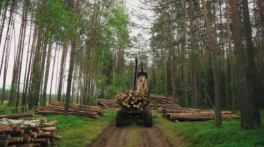 Orman endüstrisi. Ağaç kesme ve günlük tutma alanında yükleme kamyonu için işlemler.