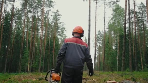 Ein Waldarbeiter Overalls Helm Und Weste Geht Mit Dem Rücken — Stockvideo