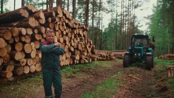 Portret Kierowcy Drwala Lub Ciągnika Lesie Wiele Dużych Kłód Sosny — Wideo stockowe