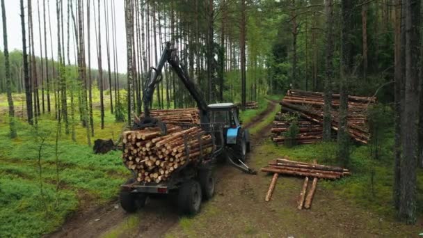 Unloading Wood Cargo Truck Ground Forest Stacking Wood Cargo Piles — стокове відео