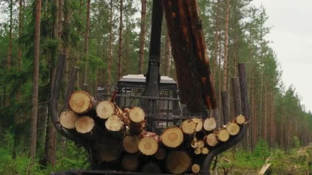 森林伐採プロセスに大きな貯蔵トラックが使用されています 森林伐採プロセスは 燃料の木材切断のために発生する 森林破壊プロセスは環境問題を引き起こす — ストック動画