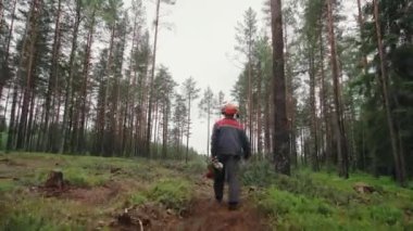 Hard Hat ve Safety Yeleğindeki Kütük Arkasında Ağaçların Arasında Yürüyen Elektrikli Testere Gün Batımında