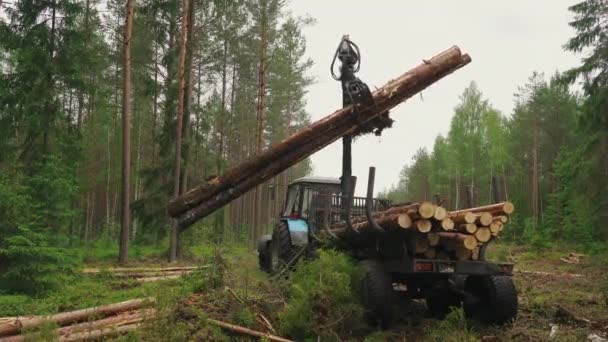 Stacking Wood Cargo Piles Wood Cargo Transportation — Stock Video