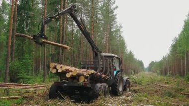Yığınlar halinde tahta kargo yığını. Ahşap Kargo Taşımacılığı.