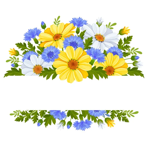 可爱的贺卡 标签或横幅模板与野花 白色和黄色的菊花 蓝色的玉米花 叶子和芽被白色的背景隔开 矢量植物学说明 — 图库矢量图片