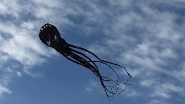 Poulpe Volante Cerf Volant Contre Ciel Bleu Fond Nuages Coucher — Video
