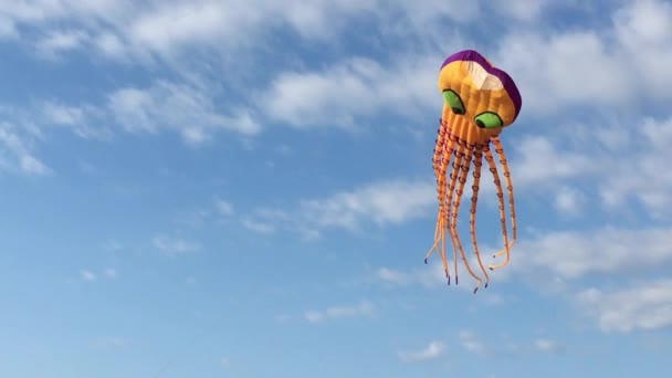 Flyvende Drage Blæksprutte Mod Blå Himmel Skyer Baggrund Ved Solnedgang – Stock-video