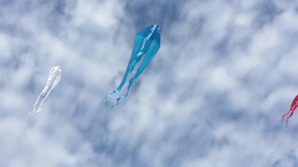 Літаючі Різнокольорові Повітряні Змії Тлі Блакитного Неба Хмар Заході Сонця — стокове відео