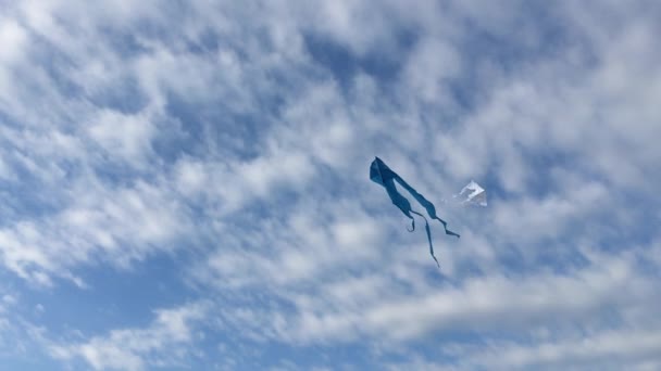 Ιπτάμενοι Χαρταετοί Ενάντια Στον Γαλάζιο Ουρανό Και Σύννεφα Φόντο Στο — Αρχείο Βίντεο