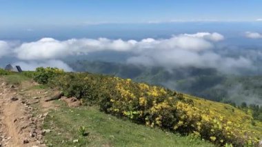 Yüksek dağlara panoramik hava manzarası, kır çiçekleriyle çayırlar ve vadiyi kaplayan bulutlar. Bulutların üstündeki dağ evi. Gomismta 'nın dağlık arazisi, Gürcistan' ın turistik simgesi. 4K