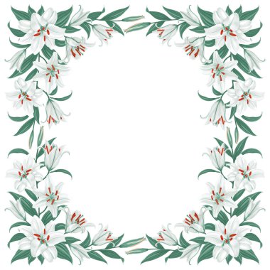 Beyaz zambak çiçekleri desenli çiçek deseni. Lilies vignette. Gündüz kuşağı, çiçekler, yapraklar, beyaz arka planda izole edilmiş tomurcuklar. Vektör illüstrasyonu