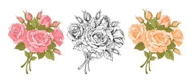 Bir buket gül çiçeği. Kokulu çay gülleri pembe ve sarı. Ayrıca el yazısıyla çizilmiş gül buketi, oymalı. İzole Vektör illüstrasyonu