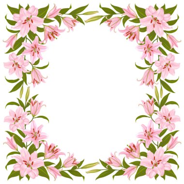 Pembe zambak desenli çiçek deseni. Lilies vignette. Çiçek süslemesi güzelmiş. Gündüz kuşağı, çiçekler, yapraklar, beyaz arka planda izole edilmiş tomurcuklar. Vektör illüstrasyonu