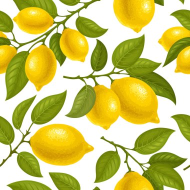 Dal dallarında limon ve Akdeniz motifleri olan kusursuz desenler. Beyaz arka planda olgun meyve ve yapraklı limon dalları. Vektör illüstrasyonu