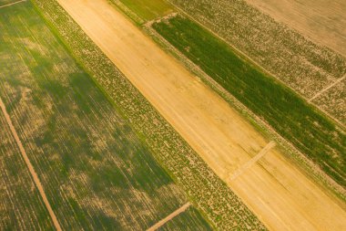 Shymkent şehrinde tarımın gelişimi. Güney Kazakistan bölgesinde tarlalar ekiyor. Kazakistan 'da gelişmiş sulama sistemi olan alanlar. Kazakistan 'daki kırsal tarım alanları