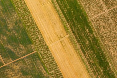 Shymkent şehrinde tarımın gelişimi. Güney Kazakistan bölgesinde tarlalar ekiyor. Kazakistan 'da gelişmiş sulama sistemi olan alanlar. Kazakistan 'daki kırsal tarım alanları