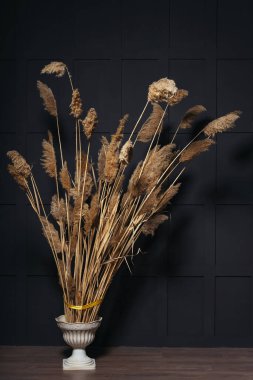 Siyah bir duvarın arka planında vazoda duran kuru çiçek çubukları. Bir fotoğraf stüdyosunun karanlık duvarında uzun ölü bir tahta.